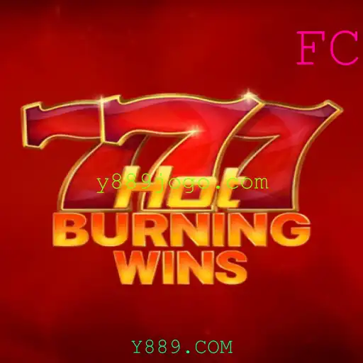 Descubra Tudo Sobre o Jogo HotBurningWins: Introdução, Descrição e Regras