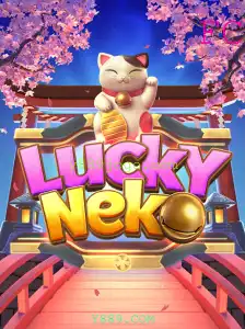 Descubra o Emocionante Mundo de LuckyNeko no Y889.COM